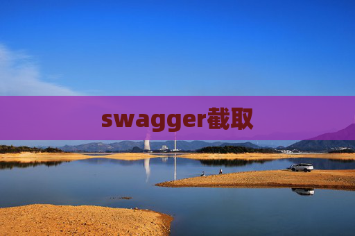 swagger截取
